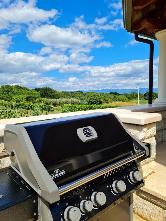 Holiday Apartment Villa Bianca Pazin Luaran gambar