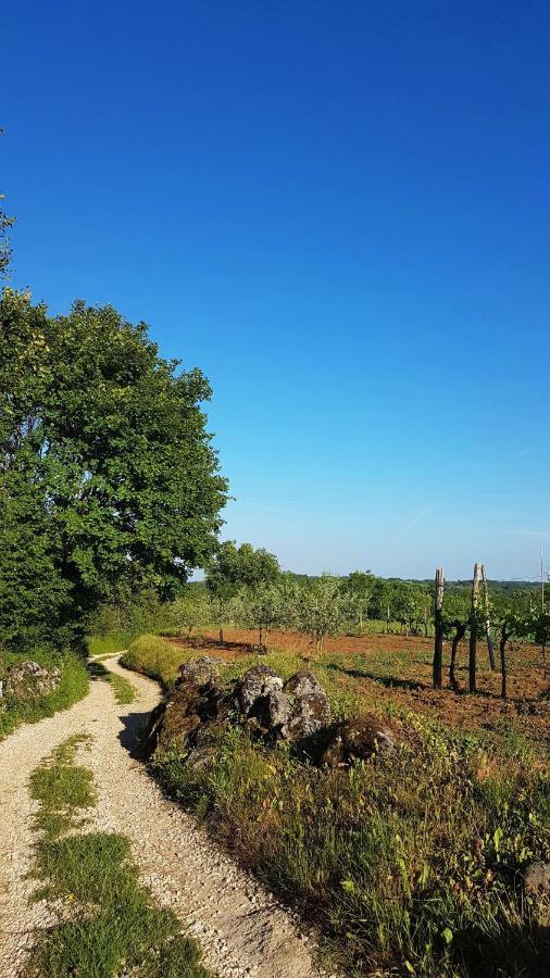 Holiday Apartment Villa Bianca Pazin Luaran gambar